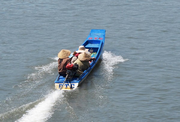 Chợ tết Cà Mau mua nhanh bán đắt - ảnh 4